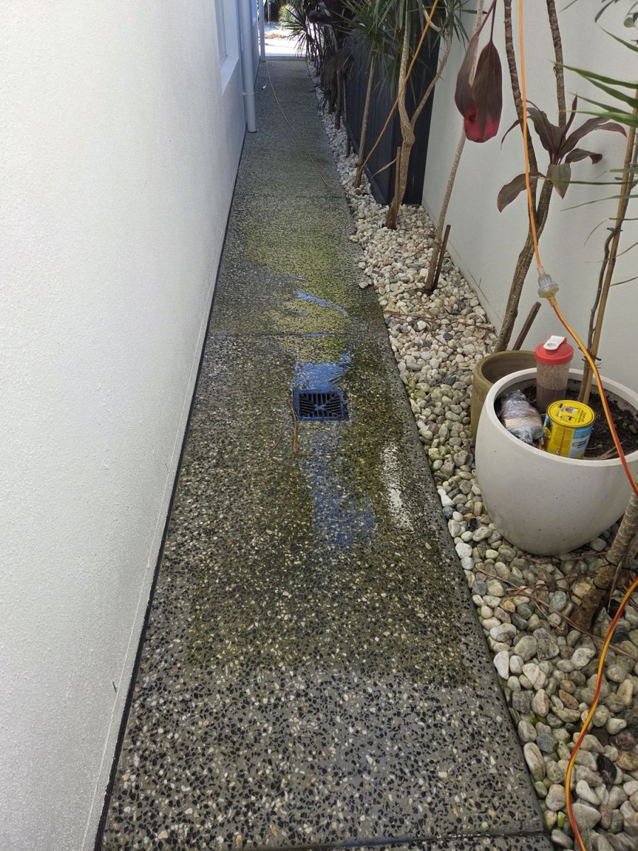 Side path green with algae, before washing